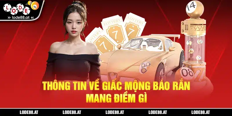 Thông tin về giấc mộng báo rắn mang điềm gì
